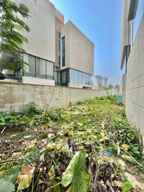 急汉京九榕台大别墅前后私家大花园上下7层带私家泳池