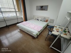 保定莲池河北农大0押金首月房租 无中介飞 近爱情广场 河北农大 六道口 理工出租房源真实图片