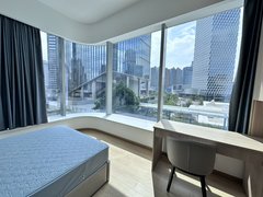 佛山南海金融高新区民水民电 两房落地大窗 每月赠送保洁 近地铁 电梯直达出租房源真实图片