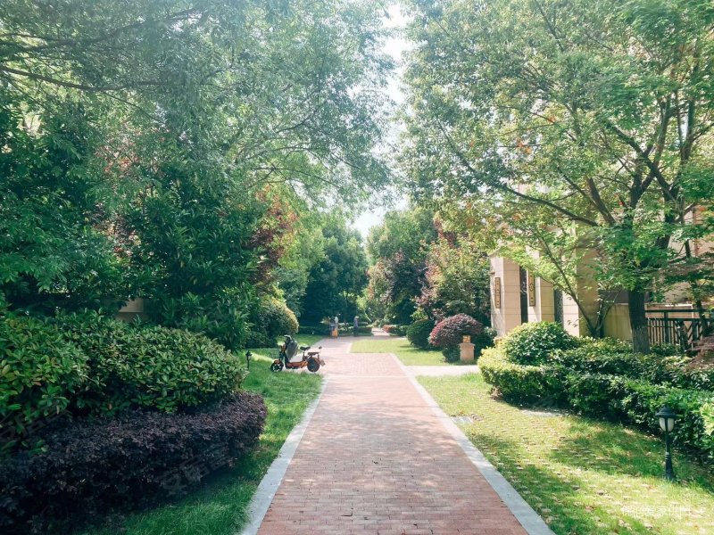 高新 西山林语洋房 自住精装 四室两厅 无遮挡静逸舒适 诚售