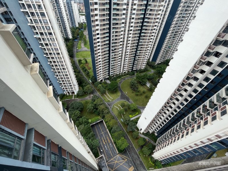 自由人花园业主急售可议价南北对流拎包即可入住