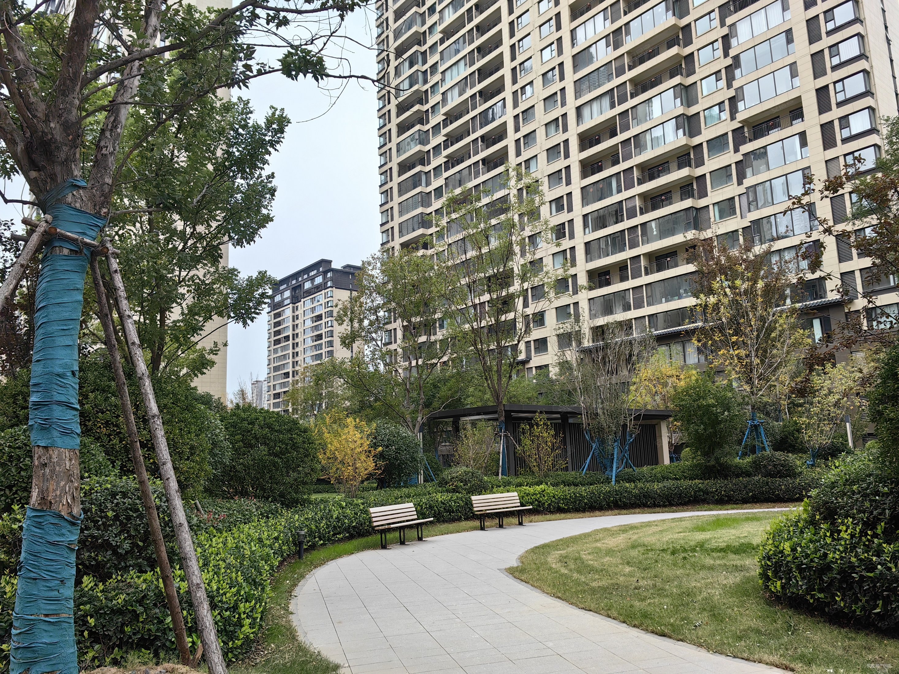 满二高铁站泉舜旁金科绿都天宸把边户通透小三室13层