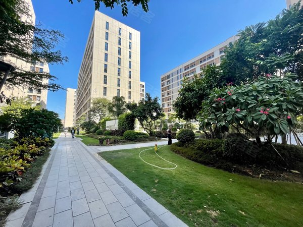 【多图】绿地空港国际中心,镜湖大道租房,(一楼带花园)绿地空港国际