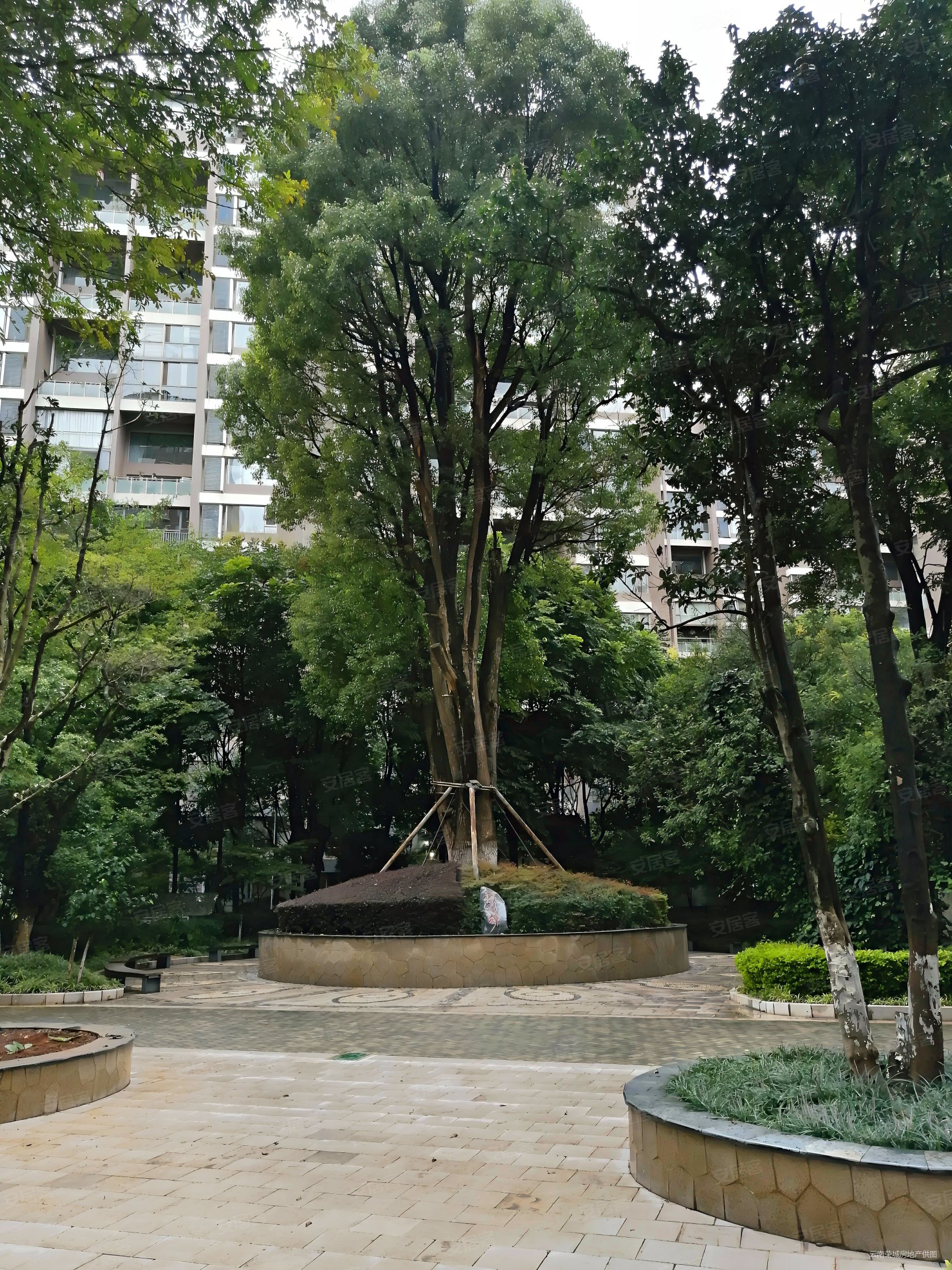 金江小区瑞园7室2厅5卫320㎡南北720万