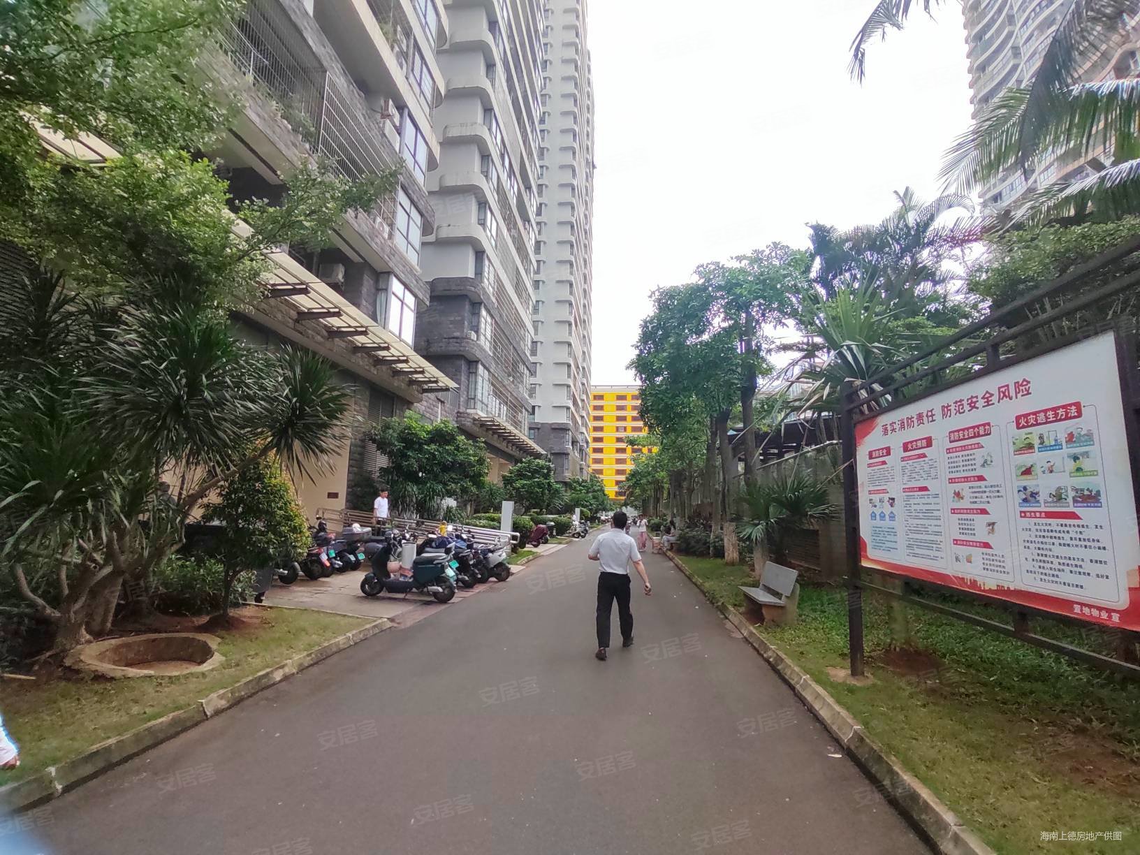 业主急售 国贸椰岛广场电梯三房