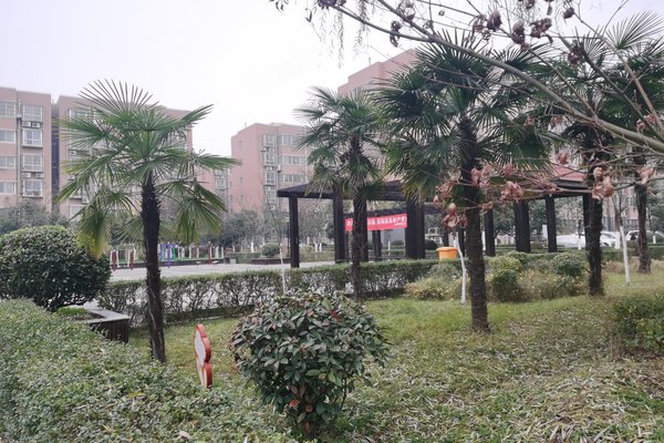 轩苑新城,太平堡东路-宝鸡轩苑新城二手房,租房-宝鸡安居客