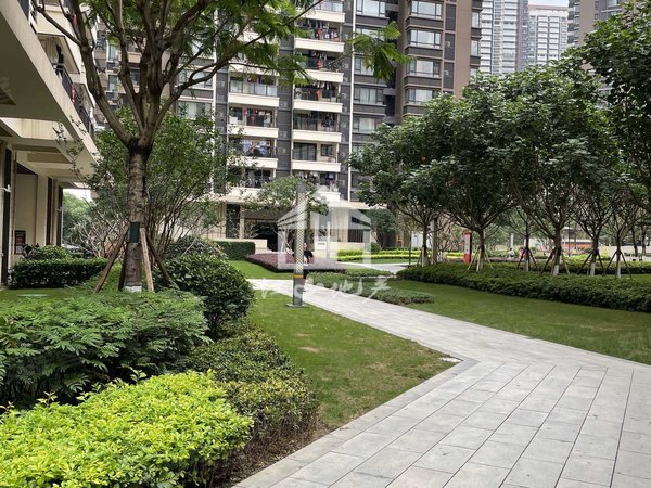 凤岭北租房,万科城北区看湖,风景超好,青秀租房-南宁58安居客