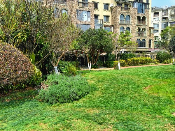 昆明西山滇池度假区公园1903蒙塔溪急租!