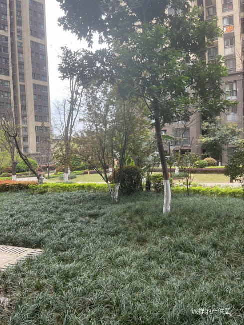 重庆房产网>重庆二手房>九龙坡二手房>盘龙二手房>联发欣悦>488_650竖