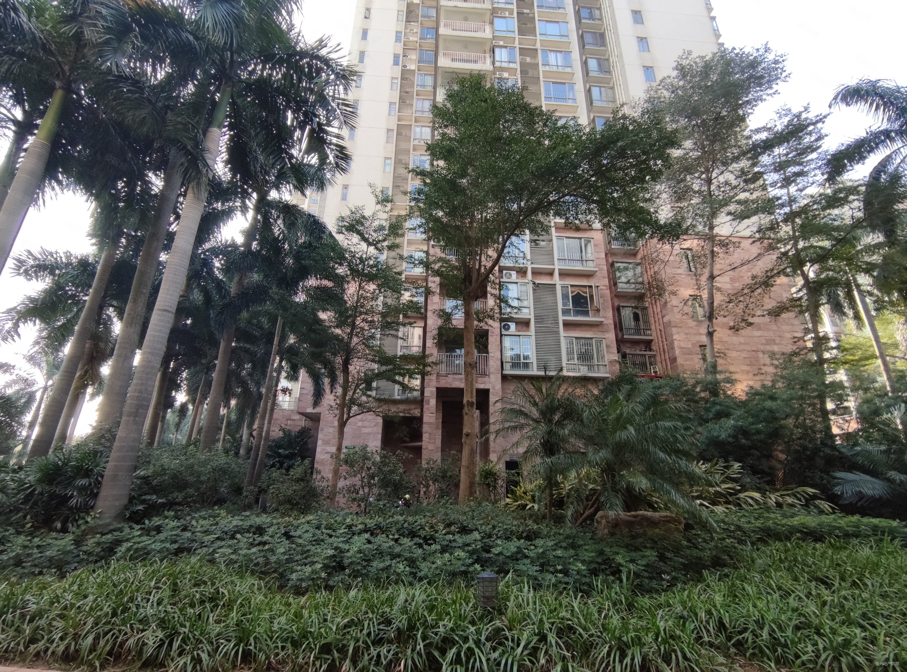 小榄阳光美加大三房保养好满五