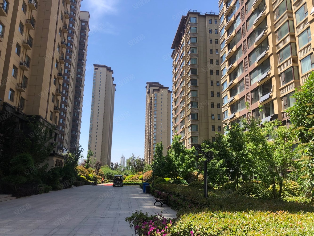 金泰华府南府金小九中证过二精装三室好楼层临金雀新城