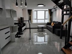 长春朝阳前进广场理工长大力旺广场南湖附近两室复式双卫生间，可随时看房拎包入住出租房源真实图片