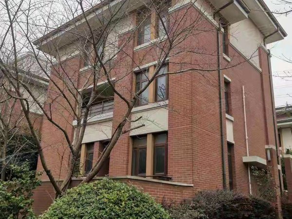 上海闵行颛桥万顺水原墅(别墅)好房联排 居家办公两用中心位置 出行