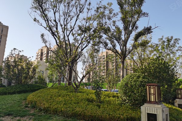 济南二手房 新城悦隽风华 > 戴紫薇解读新城悦隽风华小区不足