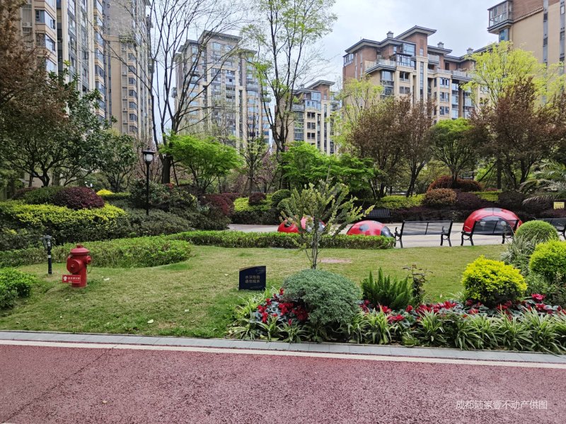 蓝光公园悦府3室2厅2卫97.18㎡南北149.8万