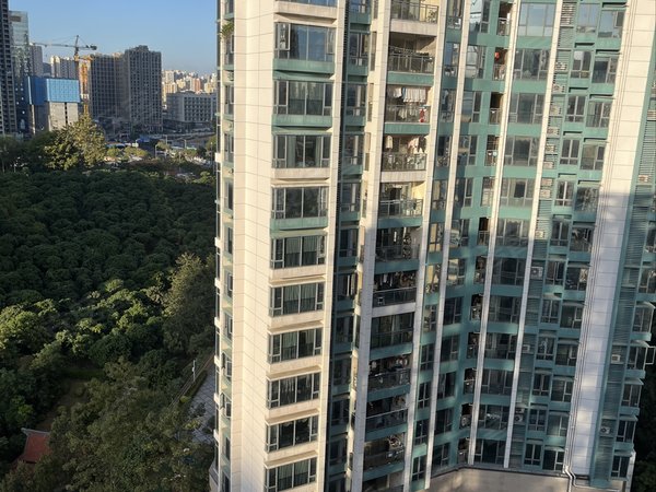 深圳布吉信义信义荔山公馆荔山公馆物业直租,中芥费仅收百分之二十五