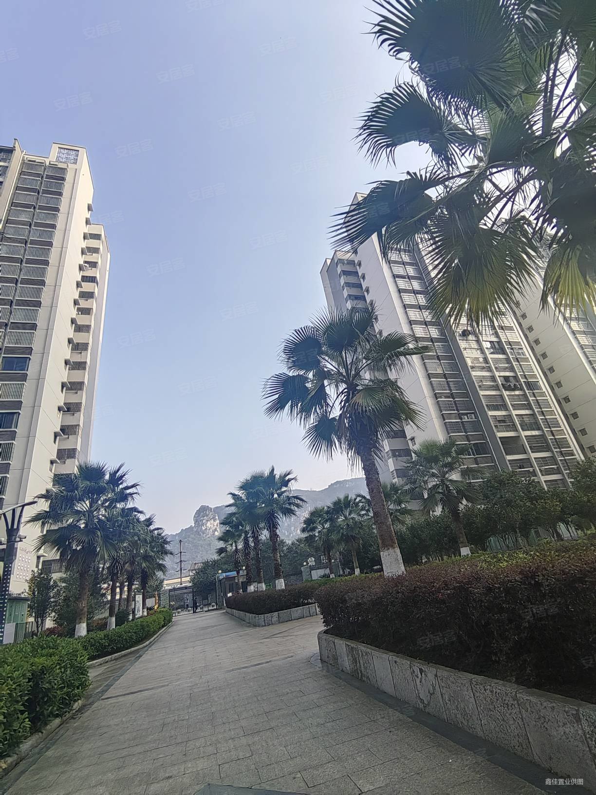 燎原九头山九龙印象电梯4房2卫单价6字头户型采光好