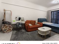 东莞东城世博广场花样年华 1室0厅1卫  电梯房 豪华装修 44平米出租房源真实图片