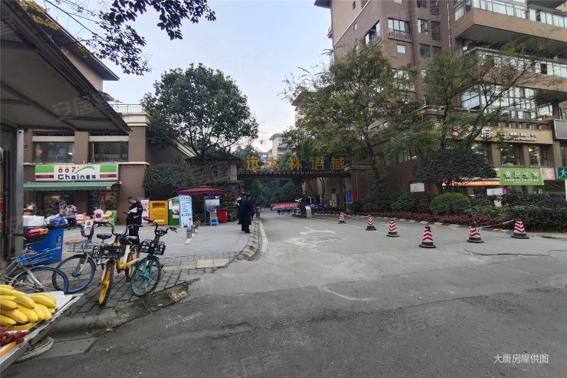 底价360w远大林语城清水套四联排别墅带前后花园送车位