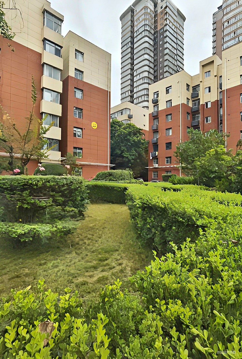 光明小区新城