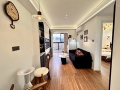 杭州上城五堡法式复古风 免费停车 两房朝南 干湿分离 可养宠物 随时入住出租房源真实图片