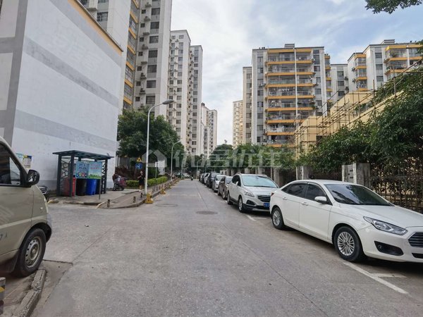 南宁江南白沙大道中房碧翠园c区f中房碧翠园c区 整租 精装 拎包入住