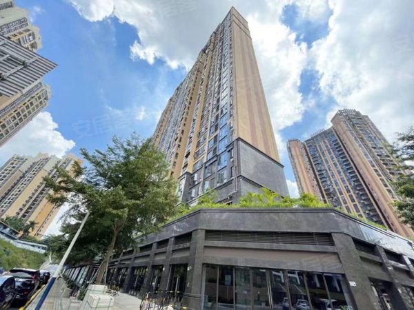 深圳龙岗坂田大族云峰二期坂田新社区 出门即上坂银通道 业主空房出租