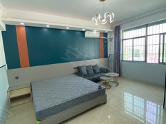 海口龙华城西喜盈门边 采光巨好通风 海南医学院 中国农业大学 吾悦广场出租房源真实图片