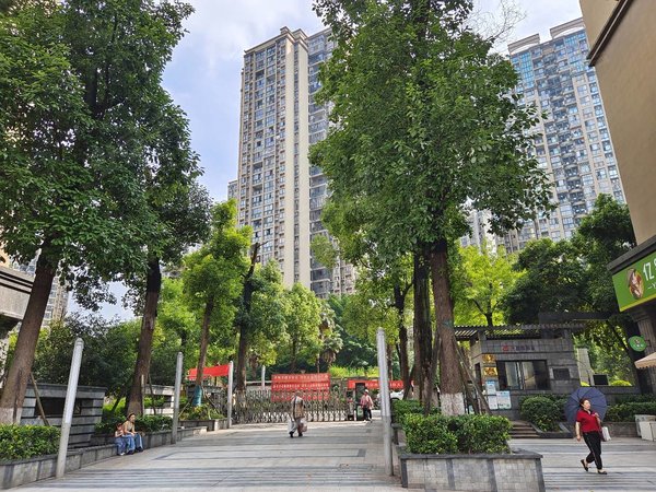 世贸城青岗坪旁 环山国际精装两房 装修精致,渝北租房-重庆58安居客