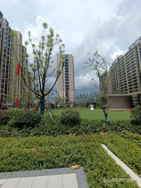 精装  碧桂园星澜雅苑 3居室 105