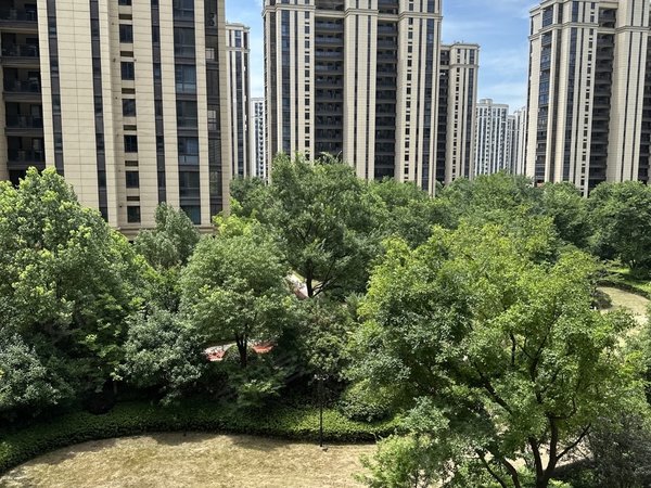 杭州钱塘义蓬宋都丽郡国际大江东 义蓬街道 丽郡国际 地铁口 大阳台