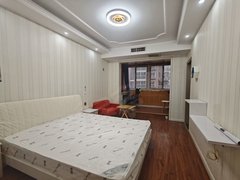 南阳宛城新市政府只发真房 万悦城 尚座花园 龙达新天地精装1室出租房源真实图片