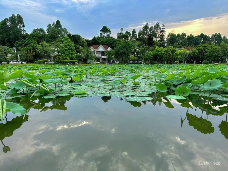 金碧御水山莊