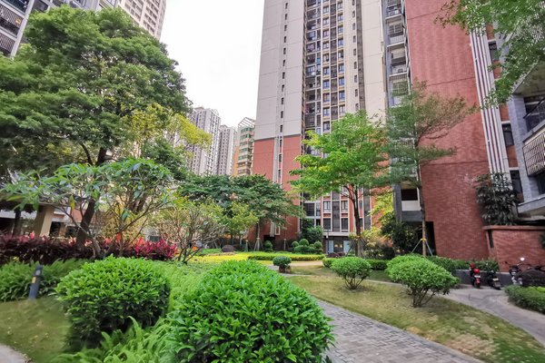 金桂园,华远东路33号-佛山金桂园二手房,租房-佛山安居客