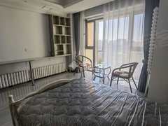 哈尔滨南岗哈西哈西万达地铁口精装一居室 拎包入住出租房源真实图片