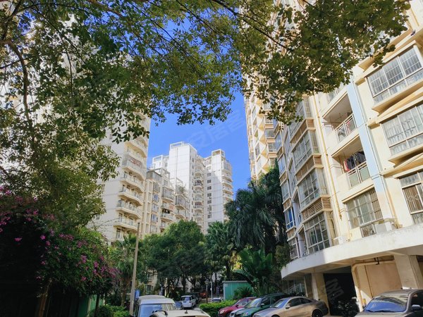 【多图】恒大苹果园,凤岭南租房,无中介 东盟商务区恒大苹果园 一房一