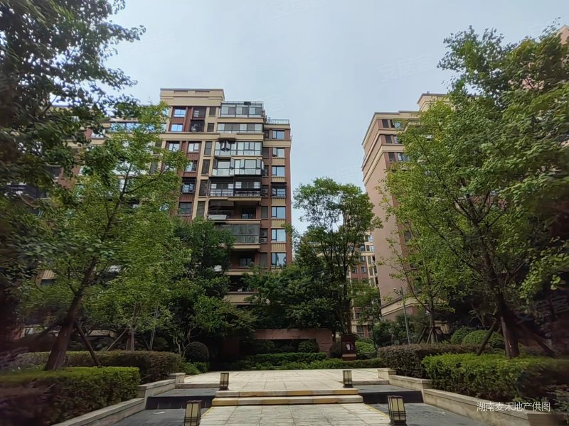 新城国际花都f区