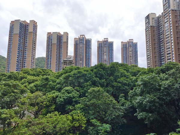 深圳布吉南岭万科公园里公园里 钥匙在手 看房方便 价格可谈出租房源