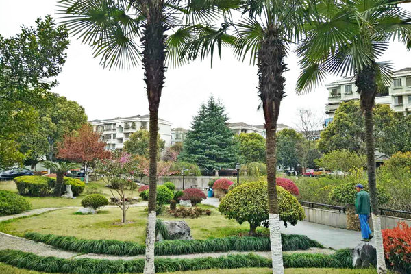 府新花园,文二西路589号-杭州府新花园二手房,租房-杭州安居客