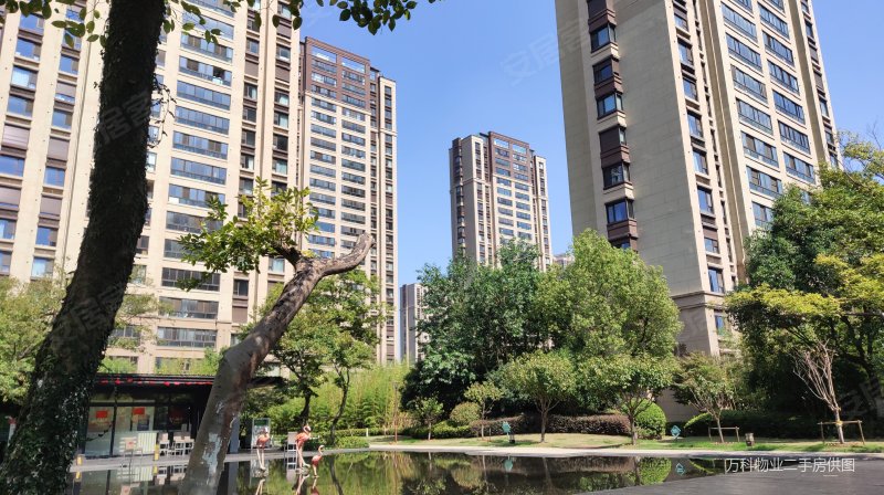 万科玲珑奢华大平层大横厅前后无遮挡超好位置