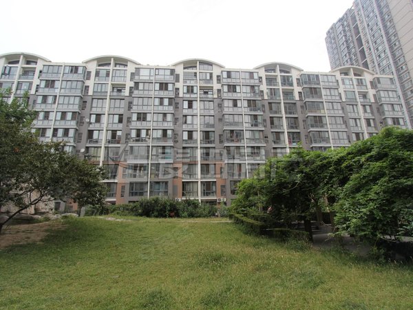 【多图】金隅丽港城,望京租房,价可刀 金隅丽港城板楼大两居 房子保持