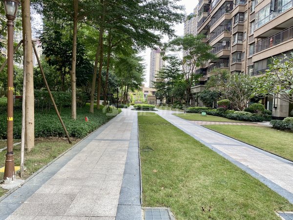 【多图】中海悦公馆,区政府租房,吾悦广场,精装三房.