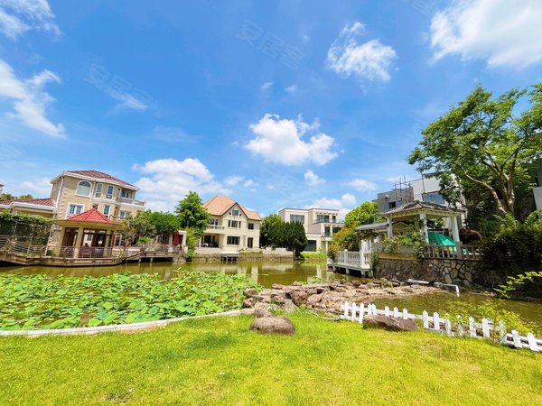 上海闵行马桥长岛别墅临河独栋~风景如画~摄影,居家,宠物出租房源真实