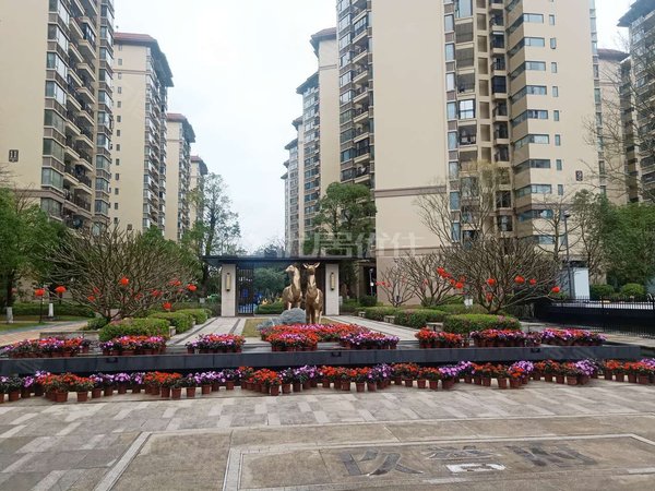 【多图】龙光玖誉府(商住楼),三塘租房,全新出租 精装两房公寓 家具