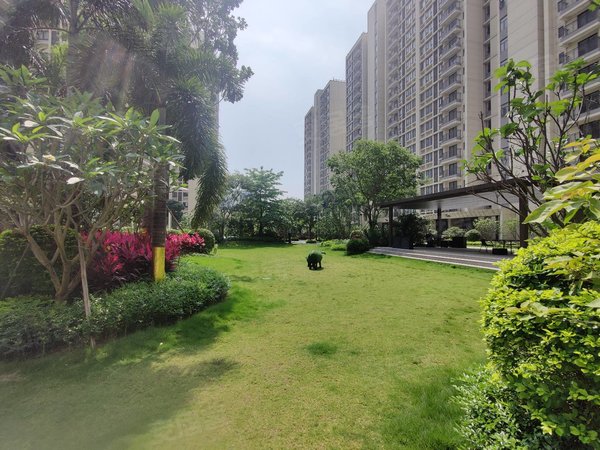 广州花都镜湖大道阳光城兰园翡丽湾(莲塘站)近地铁 新小区 配套齐全