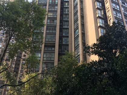 大华铂金华府,园林路25号 - 武汉大华铂金华府二手房,租房,房价-武汉