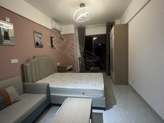 长沙天心天心区政府月租免押金友谊路正地铁口一号线整租独卫带厨电梯房出租房源真实图片