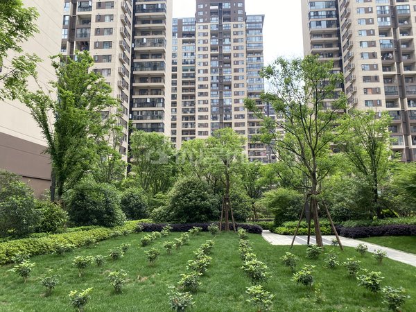 贵阳花溪清溪路阳光花园(花溪)阳光花园精装大三房出租出租房源真实