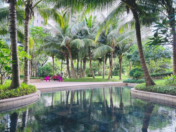 三亚三亚周边陵水雅居乐山海间一期清水湾雅居乐南北通透两房出租出租