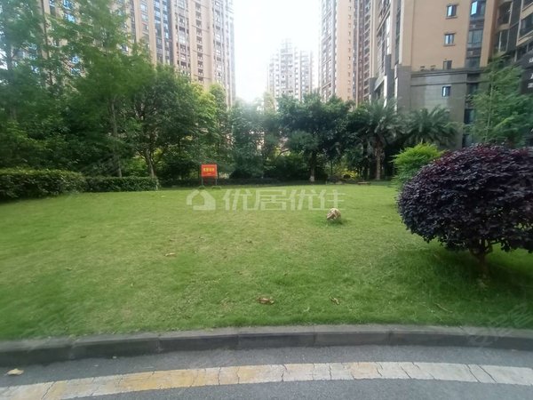 重庆两江新区回兴申佳上海时光精装 3室 3200元每月 押三付一 整租